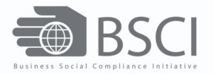 bsci logo 712x250 1 300x105 1