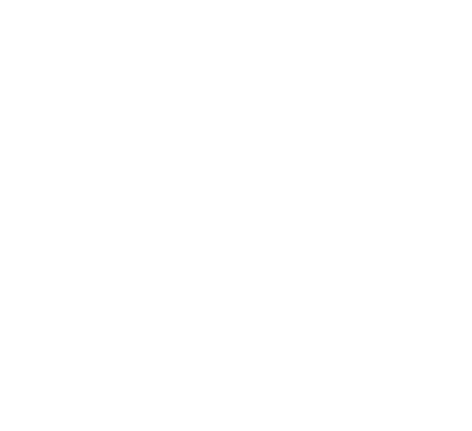 section 2 bg 1.png